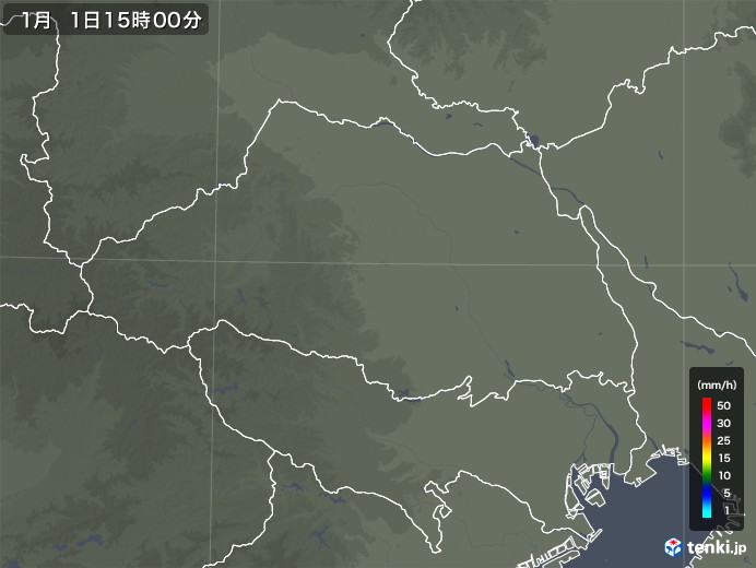 埼玉県の雨雲レーダー(2019年01月01日)