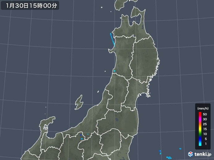 東北地方の雨雲レーダー(2019年01月30日)