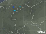 2019年01月30日の群馬県の雨雲レーダー