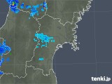 雨雲レーダー(2019年02月20日)