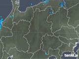 2019年02月21日の長野県の雨雲レーダー