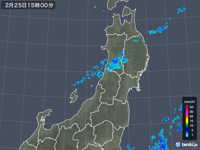 東北地方の雨雲レーダー(2019年02月25日)