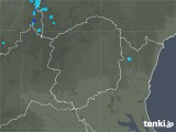 2019年03月01日の栃木県の雨雲レーダー