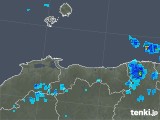 2019年03月07日の鳥取県の雨雲レーダー