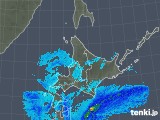 2019年03月11日の北海道地方の雨雲レーダー