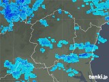 2019年03月16日の栃木県の雨雲レーダー