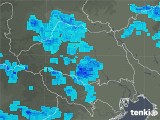 2019年03月16日の埼玉県の雨雲レーダー