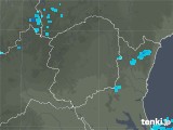 2019年03月28日の栃木県の雨雲レーダー