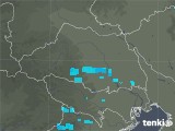 2019年03月28日の埼玉県の雨雲レーダー