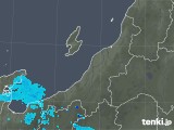 2019年03月29日の新潟県の雨雲レーダー