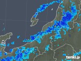 2019年03月31日の新潟県の雨雲レーダー