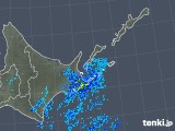 2019年05月01日の道東の雨雲レーダー