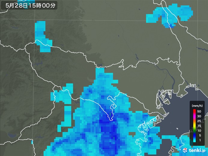 東京都の雨雲レーダー(2019年05月28日)