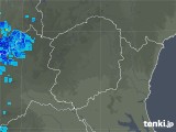 2019年06月11日の栃木県の雨雲レーダー