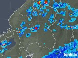 2019年06月11日の岐阜県の雨雲レーダー