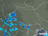 2019年07月24日の埼玉県の雨雲レーダー