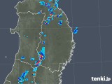 2019年07月24日の岩手県の雨雲レーダー