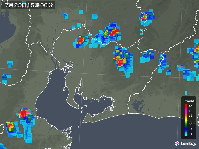 愛知県の雨雲レーダー(2019年07月25日)