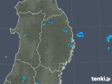 2019年07月25日の岩手県の雨雲レーダー