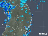 2019年07月29日の岩手県の雨雲レーダー