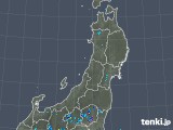 2019年08月01日の東北地方の雨雲レーダー