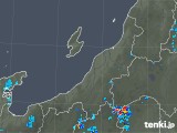 2019年08月02日の新潟県の雨雲レーダー