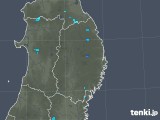 2019年08月03日の岩手県の雨雲レーダー