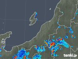 2019年08月07日の新潟県の雨雲レーダー