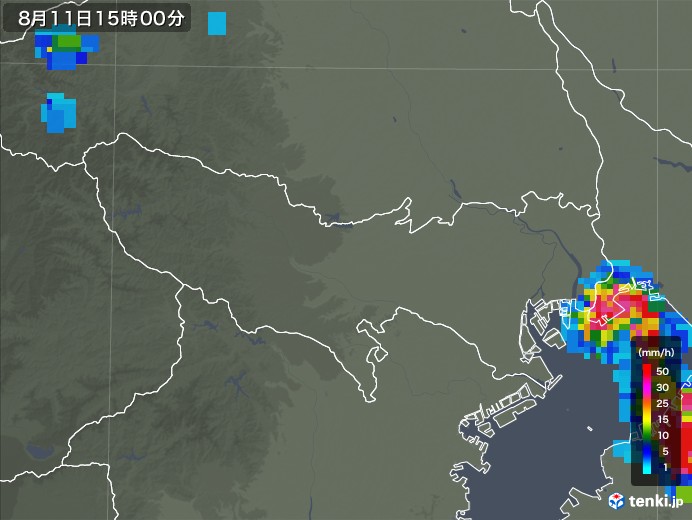 東京都の雨雲レーダー(2019年08月11日)