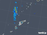 2019年08月11日の鹿児島県(奄美諸島)の雨雲レーダー