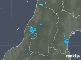 2019年08月11日の山形県の雨雲レーダー