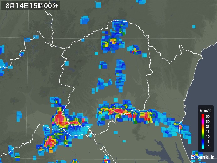 栃木県の雨雲レーダー(2019年08月14日)