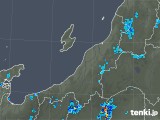 2019年08月18日の新潟県の雨雲レーダー