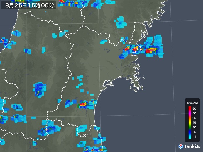 宮城県の雨雲レーダー(2019年08月25日)