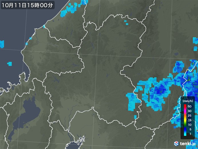 岐阜県の雨雲レーダー(2019年10月11日)