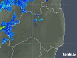 2019年11月19日の福島県の雨雲レーダー