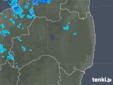 2019年11月29日の福島県の雨雲レーダー