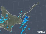 2019年12月31日の道東の雨雲レーダー