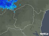 2020年01月01日の栃木県の雨雲レーダー