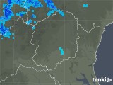 2020年01月31日の栃木県の雨雲レーダー