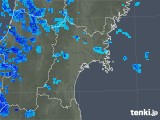 2020年02月01日の宮城県の雨雲レーダー