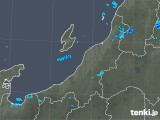 2020年02月13日の新潟県の雨雲レーダー