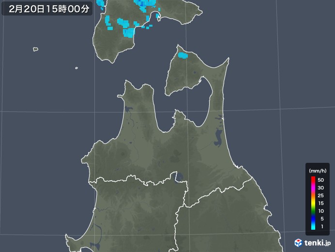 青森県の雨雲レーダー(2020年02月20日)