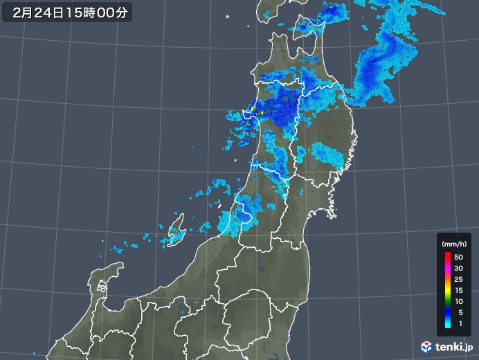 東北地方の雨雲レーダー(2020年02月24日)