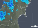 雨雲レーダー(2020年02月24日)