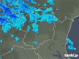 2020年03月05日の栃木県の雨雲レーダー