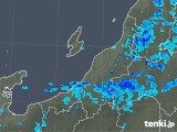 2020年03月20日の新潟県の雨雲レーダー