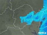 2020年03月29日の栃木県の雨雲レーダー