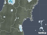 2020年05月31日の宮城県の雨雲レーダー