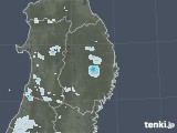 2020年07月29日の岩手県の雨雲レーダー